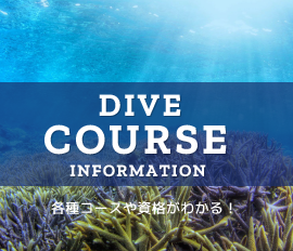 DIVE COURSE