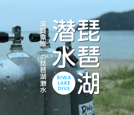 琵琶湖潜水