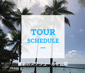 TOUR SCHEDULE