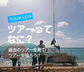 ツアーってなに?